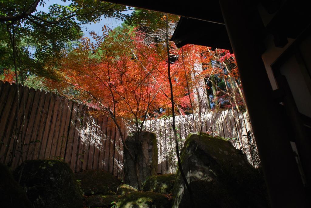 Akizuki Spa Ryokan Seiryuan Asakura  Exteriör bild